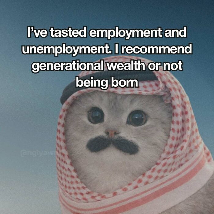 Cat with mustache and traditional headwear meme about employment and wealth
