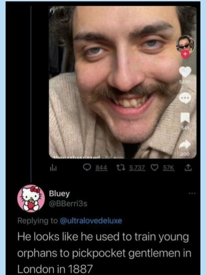 Funny meme featuring a man with a mustache, humorously described as looking like a pickpocket trainer.