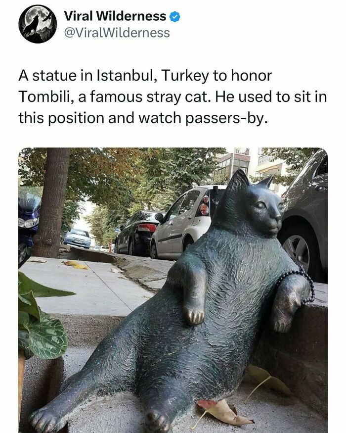 Statue of famous stray cat Tombili sitting in relaxed pose on Istanbul street