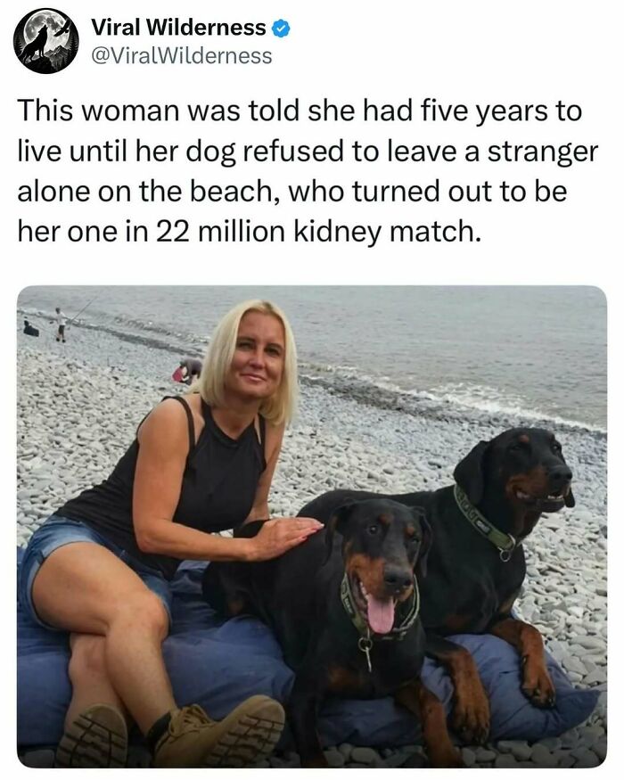 Woman sitting with two black dogs on pebble beach highlighting animal companionship story