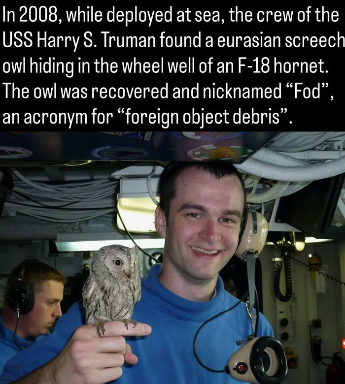 A man smiles holding a small screech owl on his finger in a remarkable photo showing the past