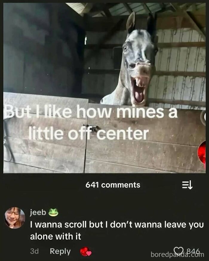 Hilariously ridiculous memes of a funny horse pulling a face over a barn gate with a cheeky social media comment