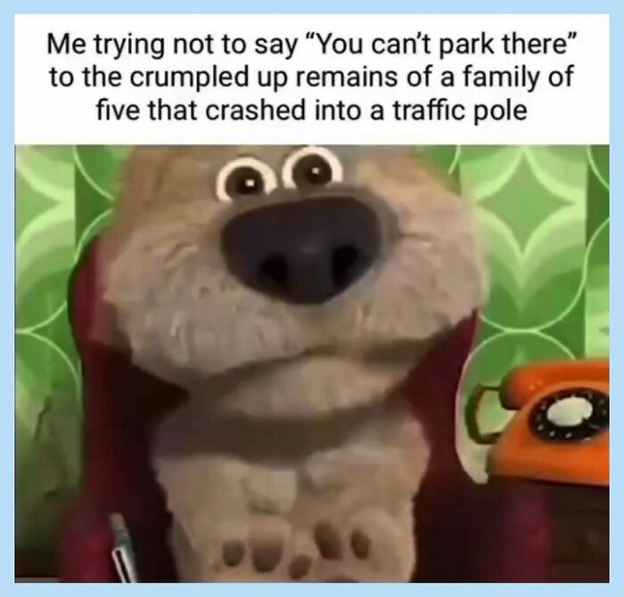 A funny meme with a concerned dog puppet at a desk, trying not to speak about a car crash.