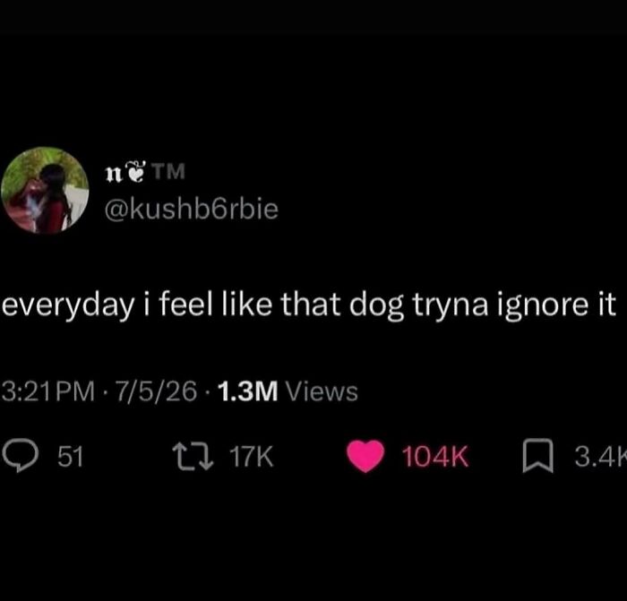A screenshot of a tweet about feeling like a dog trying to ignore something, showcasing the internet's strange side.