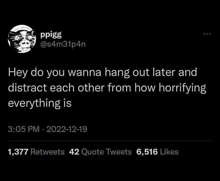 A screenshot of a tweet about hanging out to escape horrors, showcasing the internet at its strangest.