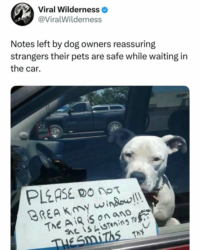 Dog in car with note reassuring pets are safe nature and wilderness