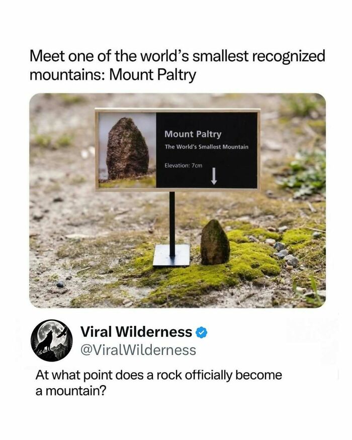 Small rock labeled Mount Paltry as world's smallest mountain surrounded by moss and nature