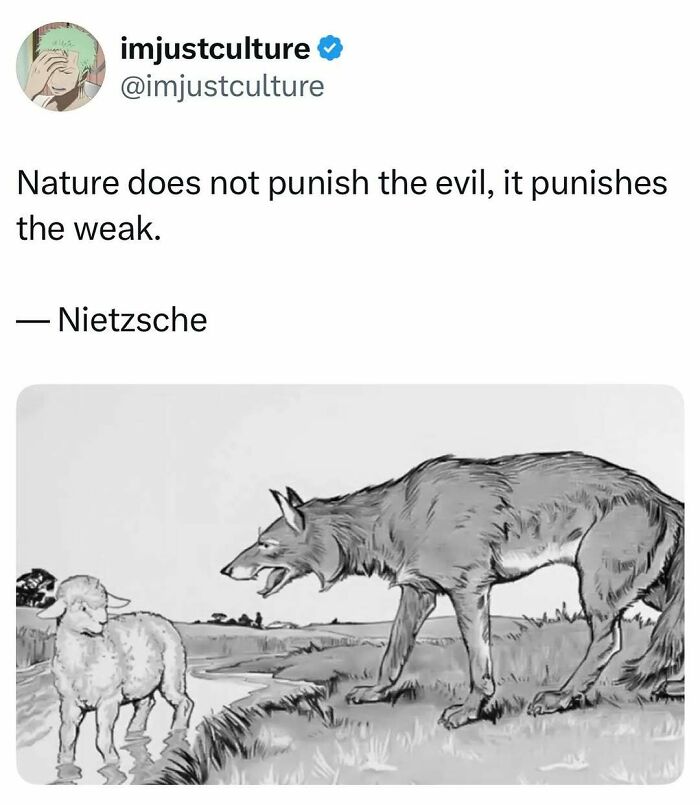 An illustration of a large wolf snarling at a small lamb, illustrating a quote by Nietzsche, for Imjustculture-Posts.