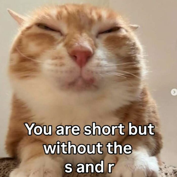 A funny orange cat meme with closed eyes and text about being 'hot' is perfect to send to someone special.