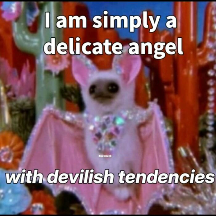 A glittery pink bat with text I am simply a delicate angel with devilish tendencies, one of many cat memes.