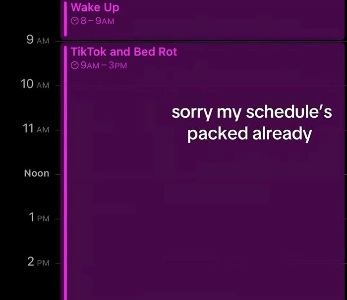 Screenshot of a strange daily schedule, capturing the internet at its strangest.