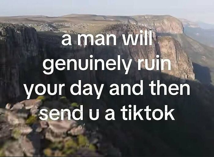 A screenshot of a meme with text a man will genuinely ruin your day and then send u a tiktok, capturing unfiltered internet moments.