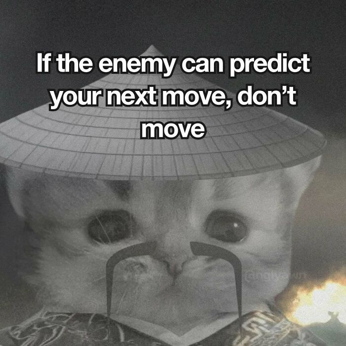 Cat in warrior costume meme about not moving if the enemy predicts your next move