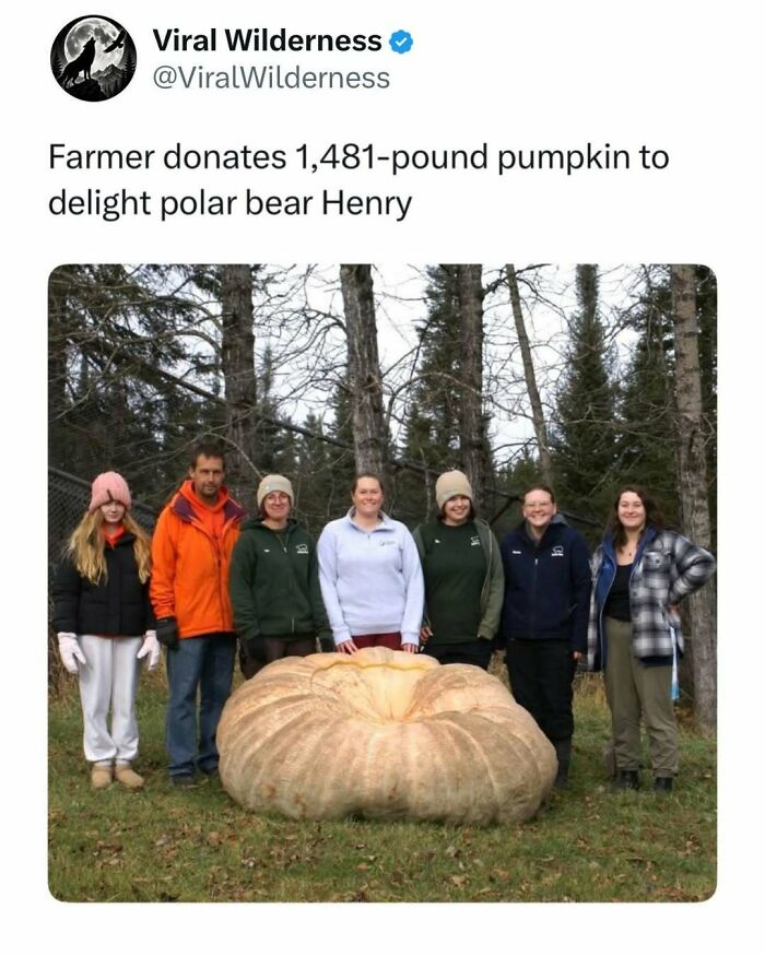 Giant 1,481-pound pumpkin donated to polar bear in wildlife