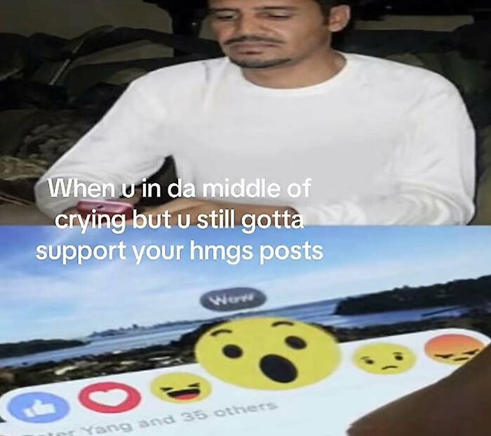 A meme depicting a man crying while using a phone, showing screenshots capturing the internet at its strangest.