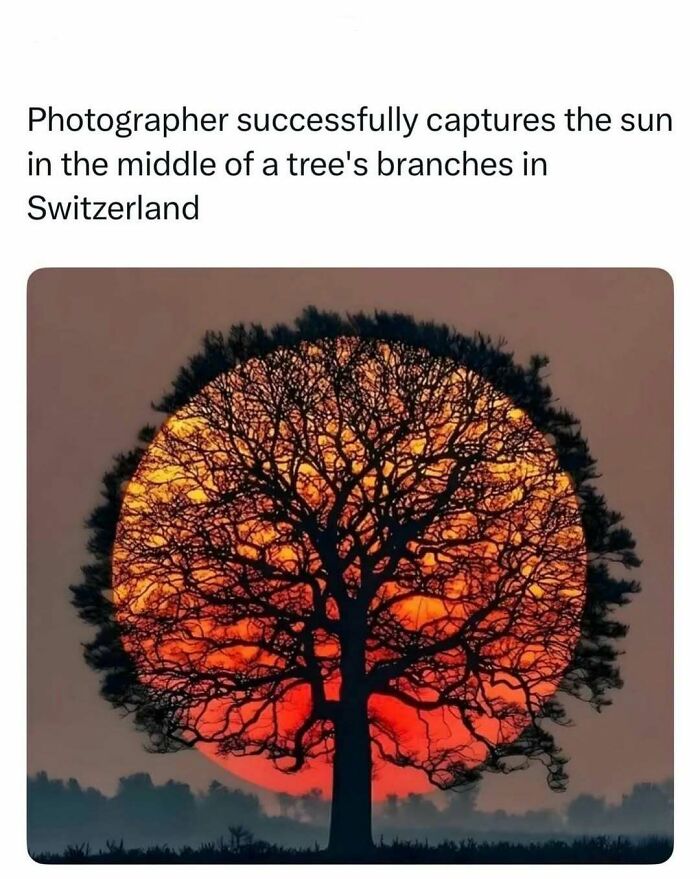 Sun captured perfectly within tree branches at sunset in Switzerland