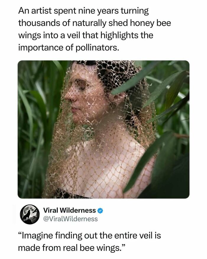 Woman wearing delicate veil made from thousands of real honey bee wings for pollinator art