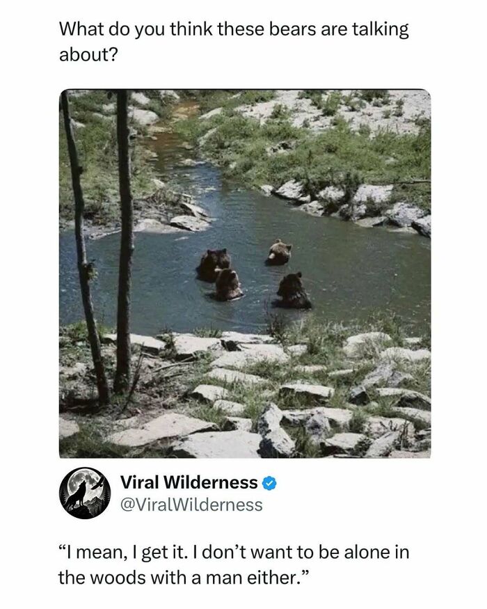 Group of bears sitting in water in wilderness nature scene