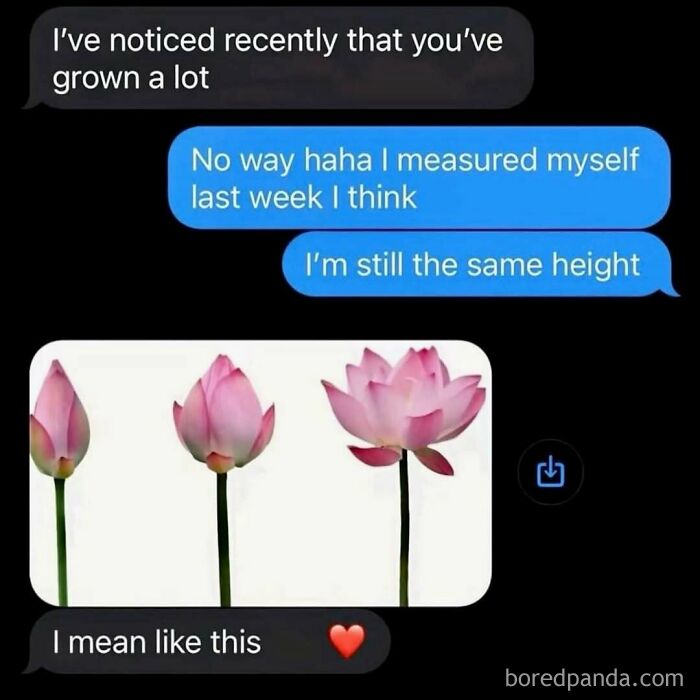 A sweet text exchange about growing up illustrated with ridiculous memes of a lotus flower blooming