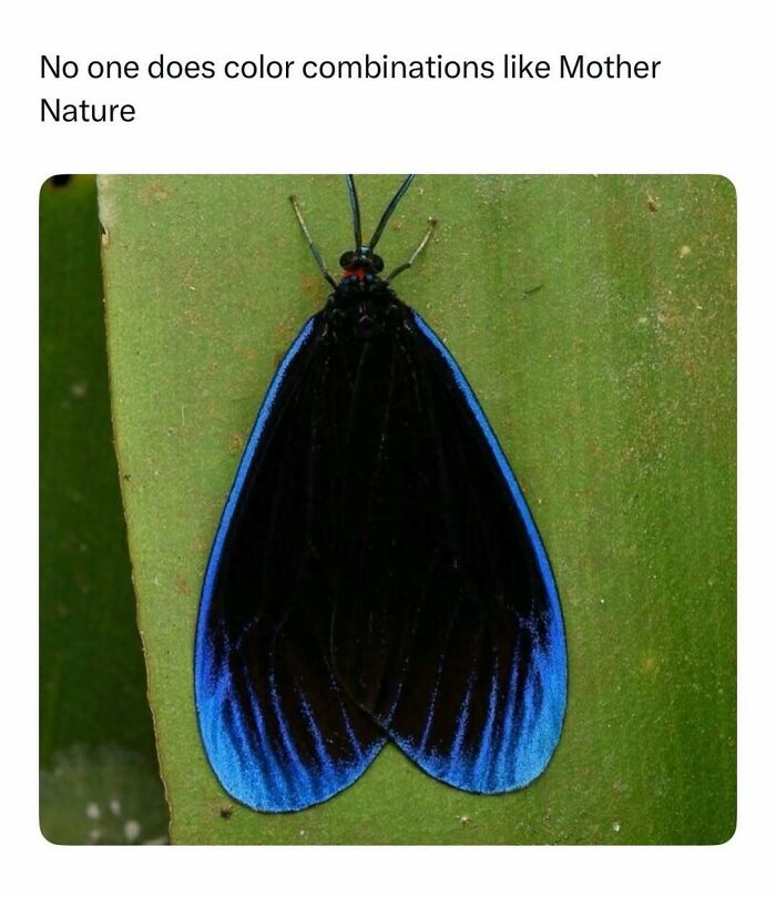 Wildlife-Nature-Animal-Facts