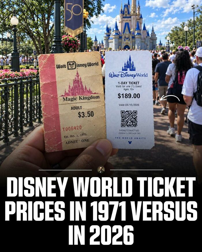A hand holding old and new Walt Disney World tickets, representing photos from history that might change how you picture the past.