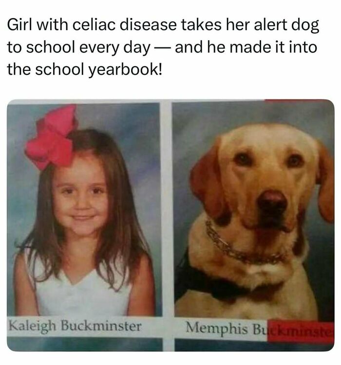 Yearbook photos of a little girl and her alert dog, among fascinating stories from the internet.