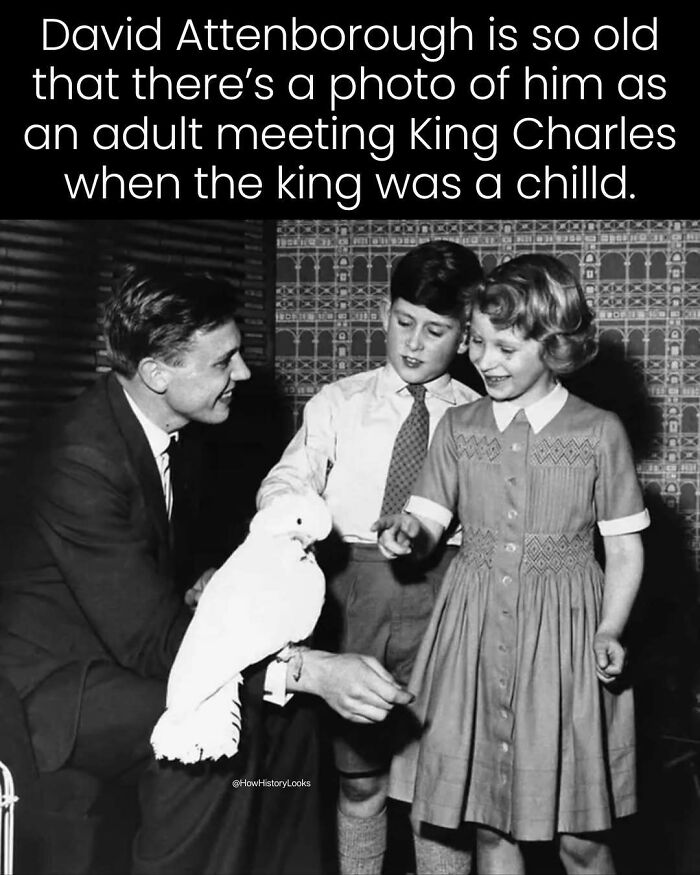 Photos from history of young David Attenborough holding a white bird for children