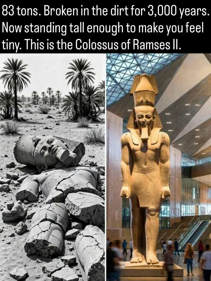 Side-by-side remarkable photos of the Colossus of Ramses II broken on the ground and standing tall.