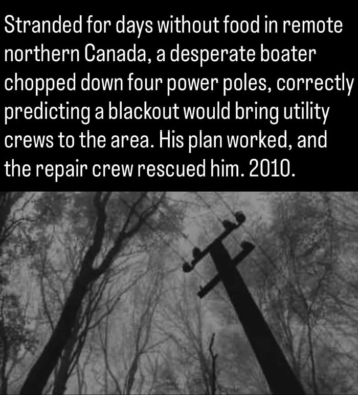 A black and white remarkable photo of a power pole in a remote Canadian forest from 2010