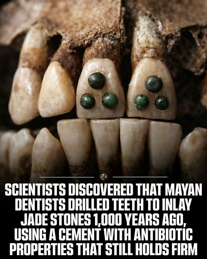Close-up of ancient Mayan skull with teeth inlaid with jade stones, depicting photos from history
