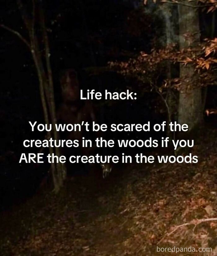 A creepy woods background with funny text about being the creature in the woods, part of hilariously ridiculous memes.