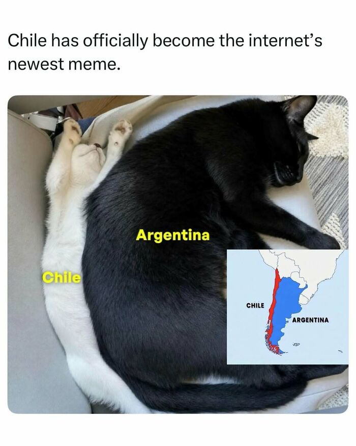 A black cat and a thin white cat sleeping side-by-side, mimicking a map of South America, a random find online.