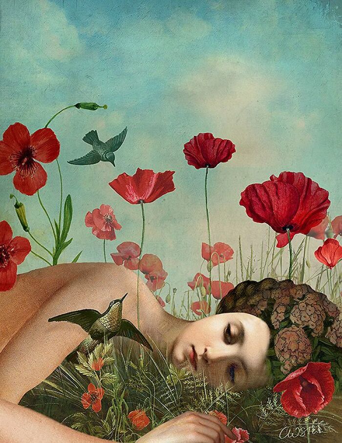 Her Garden Collection 2