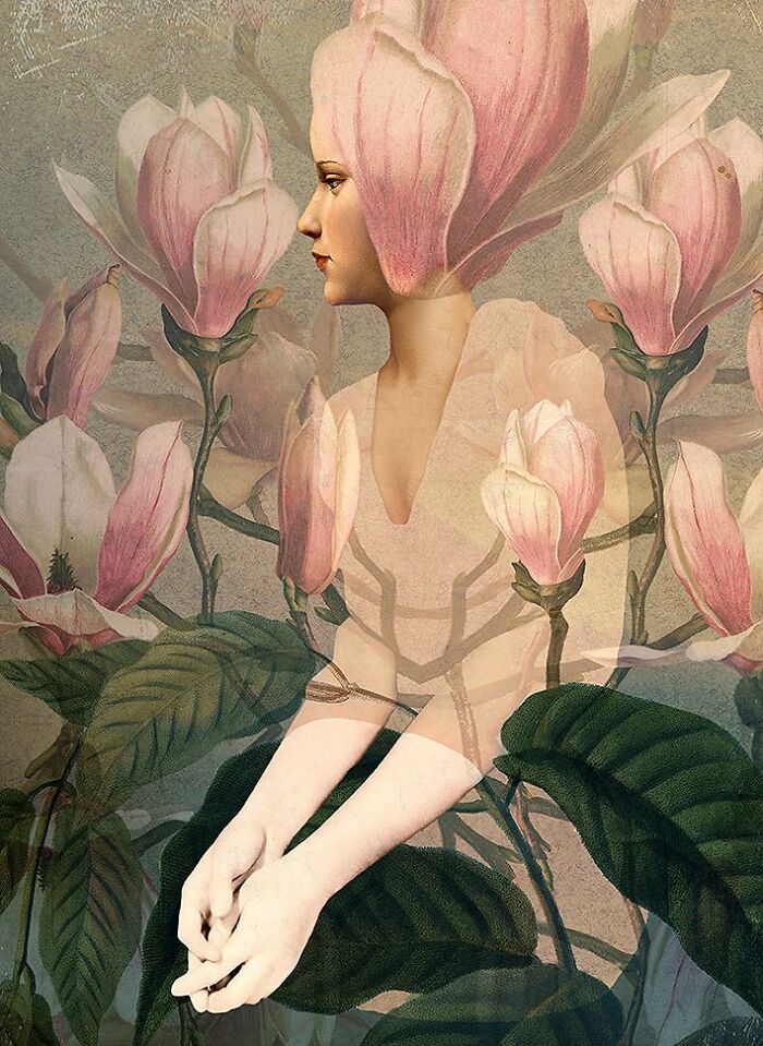 Small Magnolia