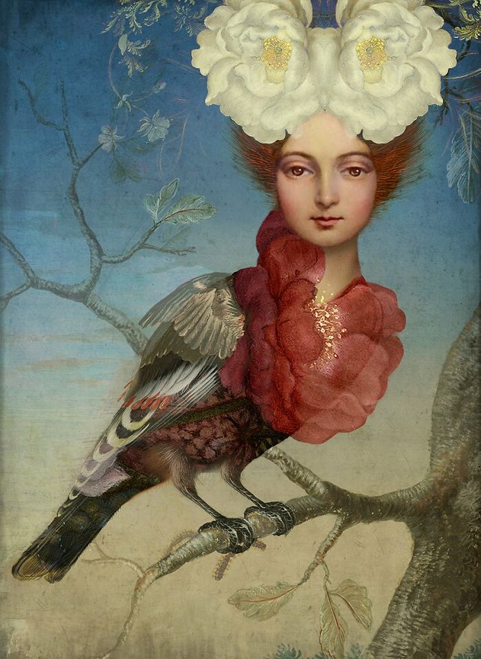 Paradise Vogel