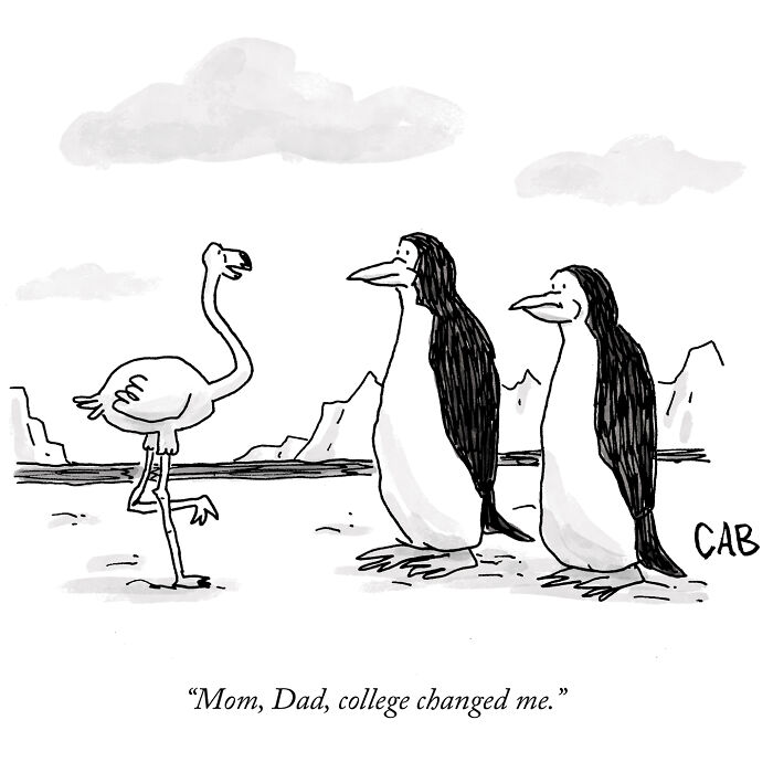 Cartoon of a flamingo among penguins saying college changed me