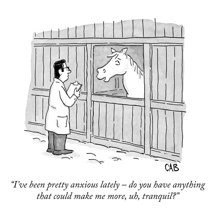 Cartoon of a horse anxiously asking a vet for something to make it more tranquil.