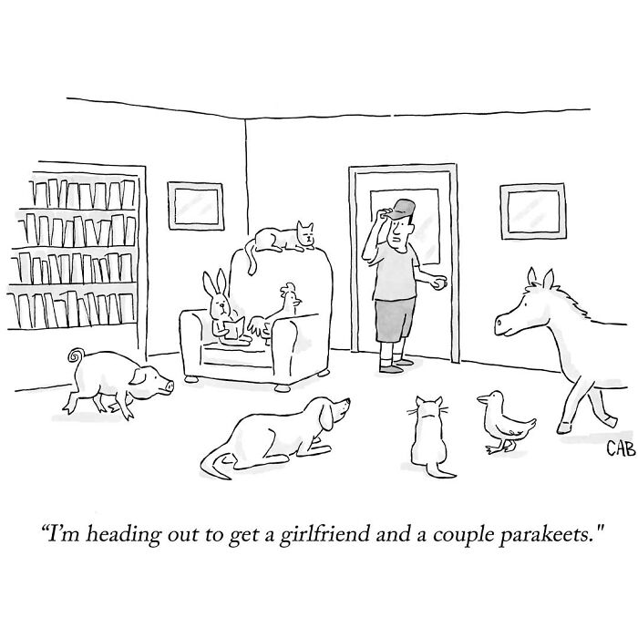 Man preparing to get a girlfriend and parakeets surrounded by animals cartoon