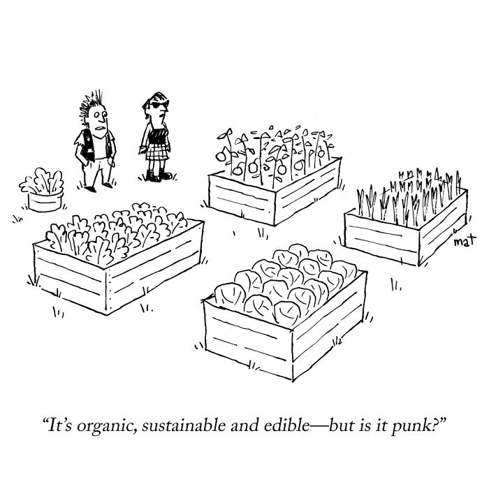 Cartoon of two people questioning if organic garden is punk style