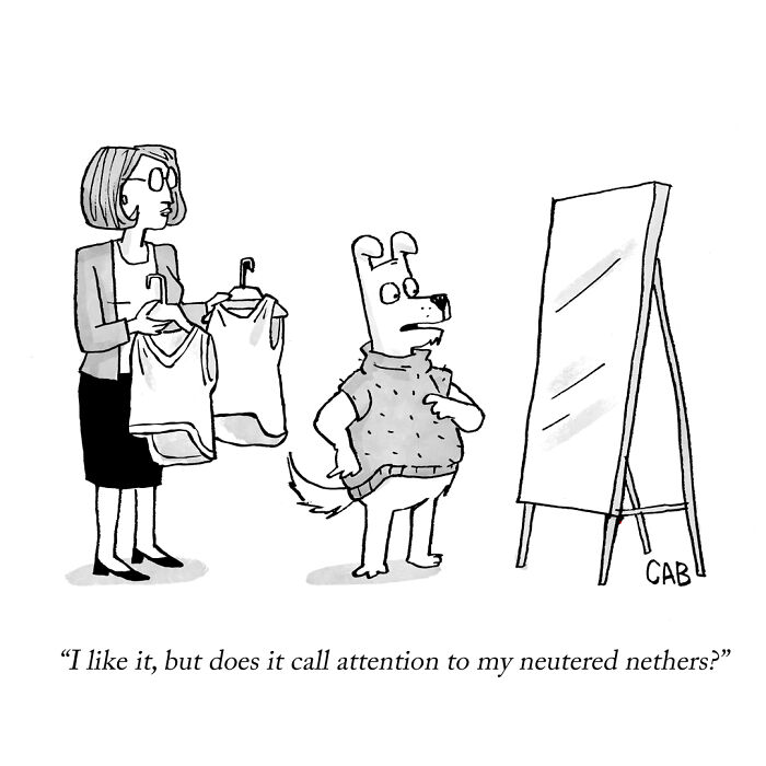 Cartoon of a dog trying on a sweater asking if it highlights neutered nether regions in an absurd cartoon.
