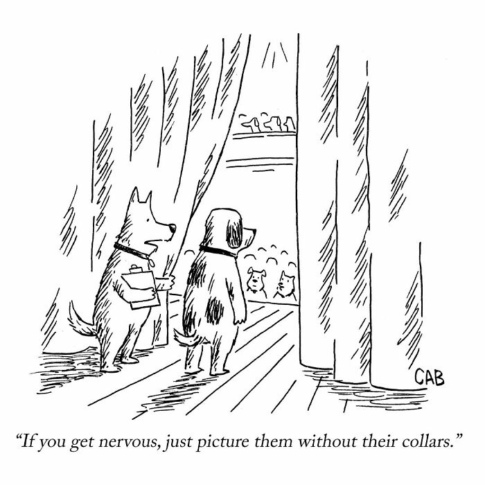 Cartoon showing two dogs backstage with advice to picture collarless audience dogs