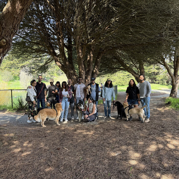 A large group of pet owners and their dogs posing under trees, part of the dog owner community. A large group of pet owners and their dogs posing under trees, part of the dog owner community.