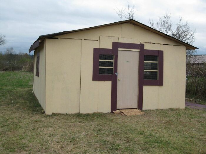 A poorly constructed shed with an uneven roof and mismatched windows, a clear example of DIY fails.