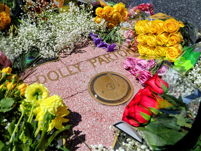 Dolly Parton's star on the Walk of Fame surrounded by flowers, remembering her after her passing. Dolly Parton's star on the Walk of Fame surrounded by flowers, remembering her after her passing.