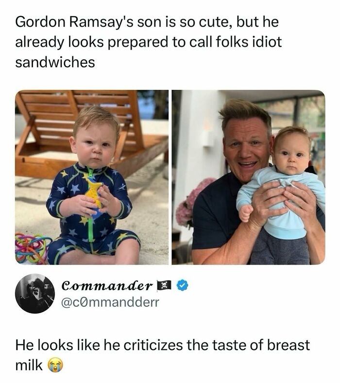 Gordon Ramsays son, a baby in a blue wetsuit and held by Gordon, looks prepared to criticize. This image showcases perfect replies.