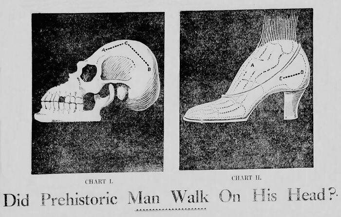Old chart comparing prehistoric man's skull and a high-heeled shoe with the question about man walking on his head