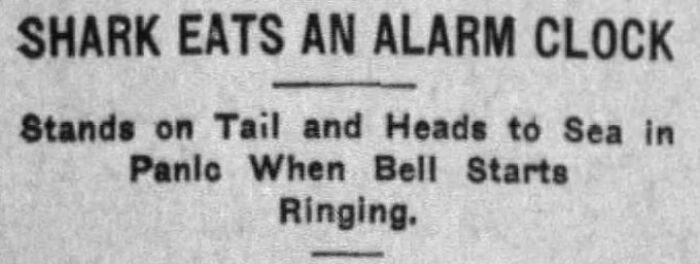 Historic newspaper headline about a shark eating an alarm clock and fleeing