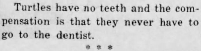 Old newspaper snippet about turtles having no teeth and avoiding dentist visits