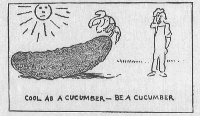 Vintage cartoon showing a cucumber and person with caption cool as a cucumber
