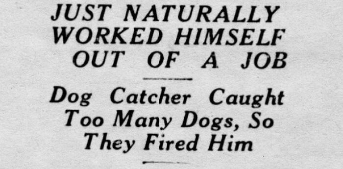 Old newspaper headline about a dog catcher losing his job for catching too many dogs